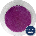 8550PUR-P8 - Capiz Disc - Purple 65mm - Craft Pack